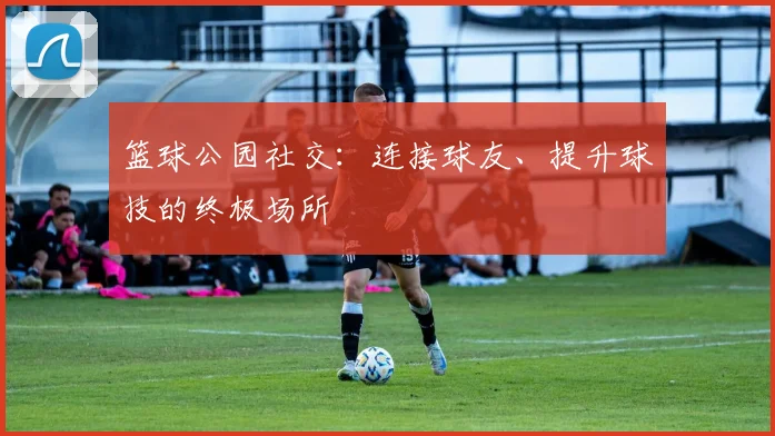 篮球公园社交：连接球友、提升球技的终极场所
